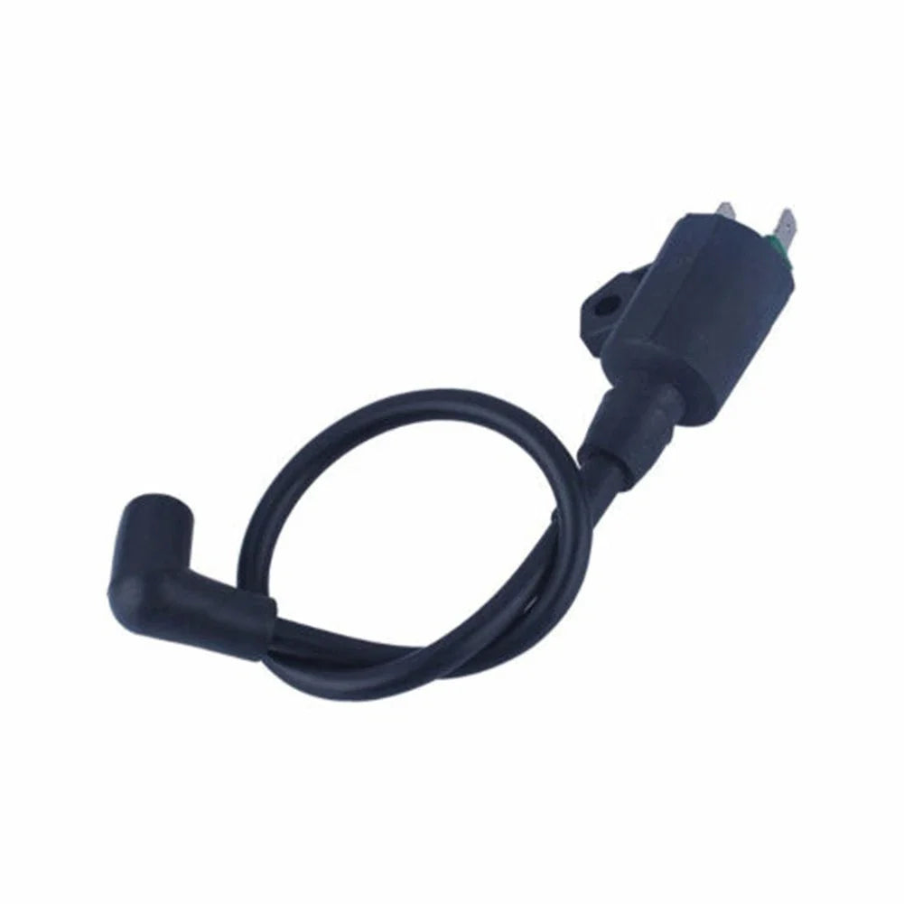 Ignition Coils for Motor Engine (1000W, 1KW, 1E45F)