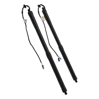 Rear Lift Support Struts - 2pc for Porsche Panamera 970 (2010–2016)