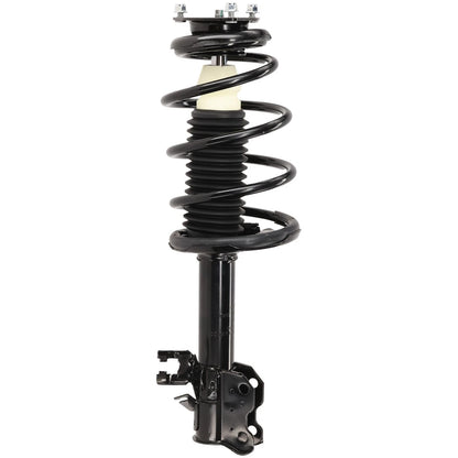 Set of 2 Loaded Struts for