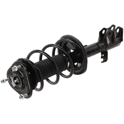 Set of 2 Loaded Struts