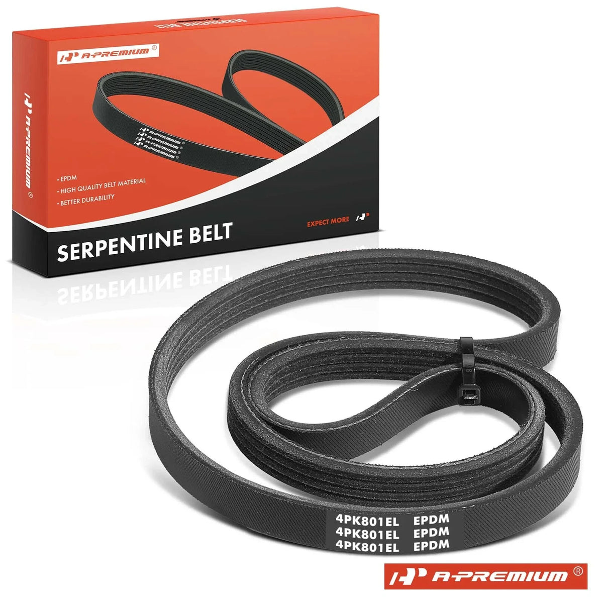 31.52 Inch Serpentine Belt for Ford Mustang (2015–2023)