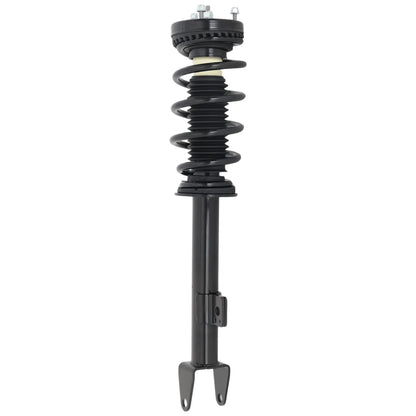 Set of 2 Loaded Struts