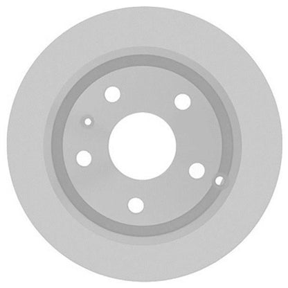 Brake Discs for Chevy Equinox (Rear)