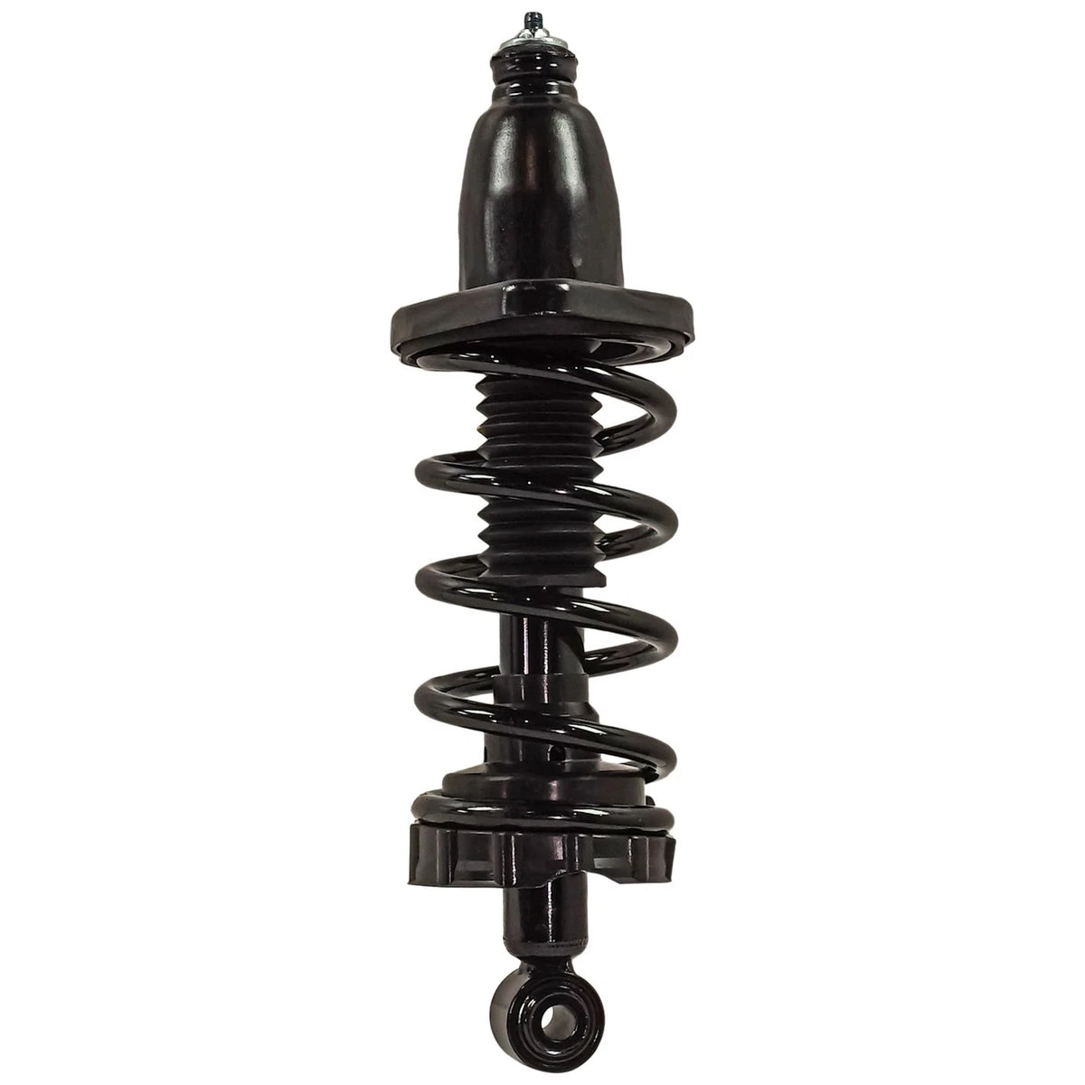 Strut Set of 2 for Rear Left Right Pair