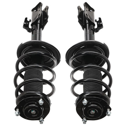 Pair Fully Loaded Strut Set
