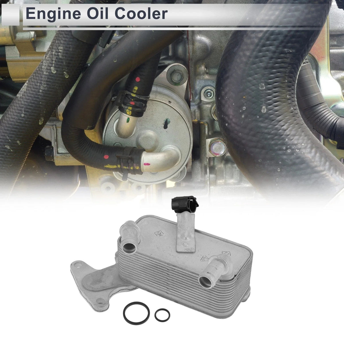 Engine Oil Cooler for Volkswagen (09G409061E)