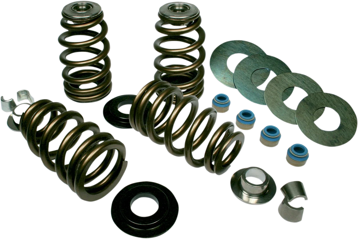 Valve Spring Kit for Harley Davidson Evo/Twin