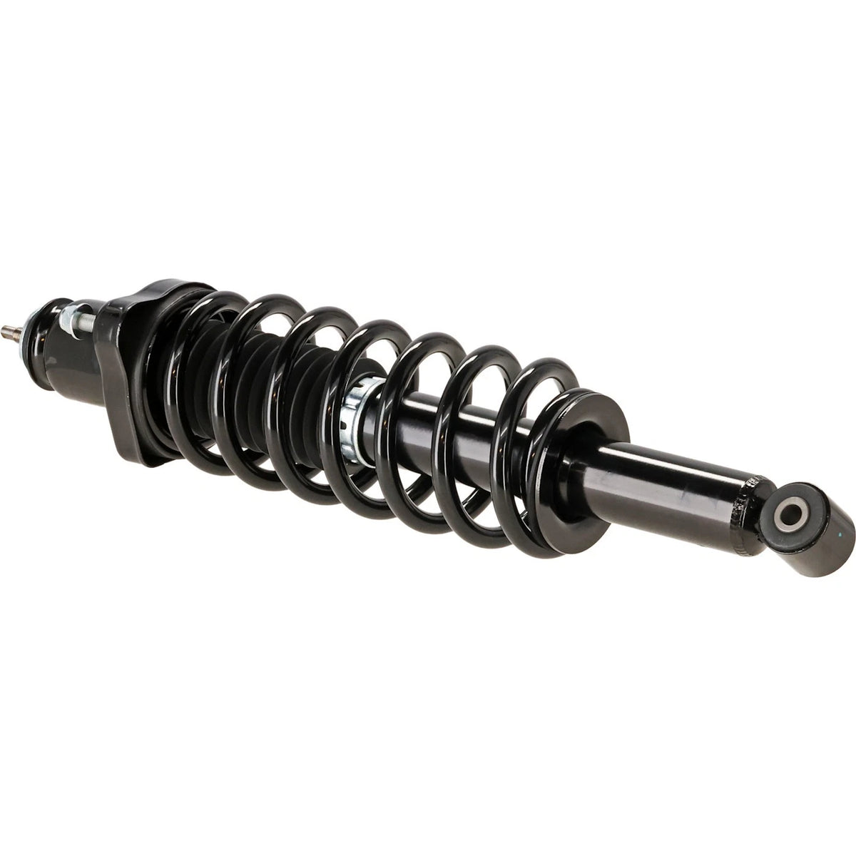 Strut Assembly for - Rear Left/Right Side