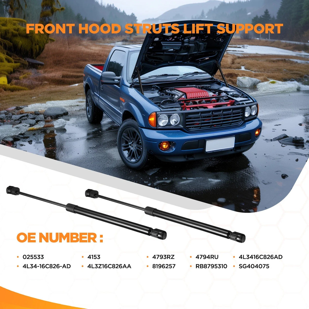 Hood Lift Struts Gas Springs 2X for Ford F-150 (2004-2008)