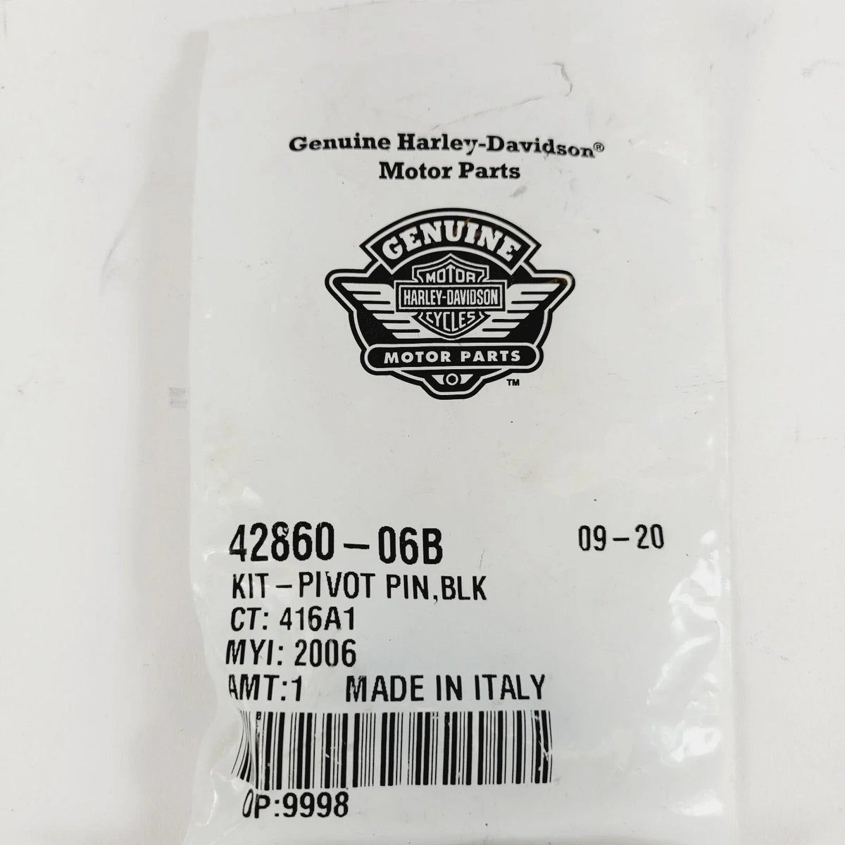 Pivot Kit for Harley-Davidson (2006) 42860-06B