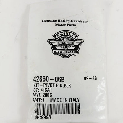 Pivot Kit for Harley-Davidson (2006) 42860-06B