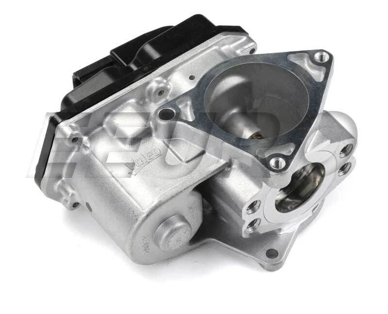 EGR Valve for Valeo 700424