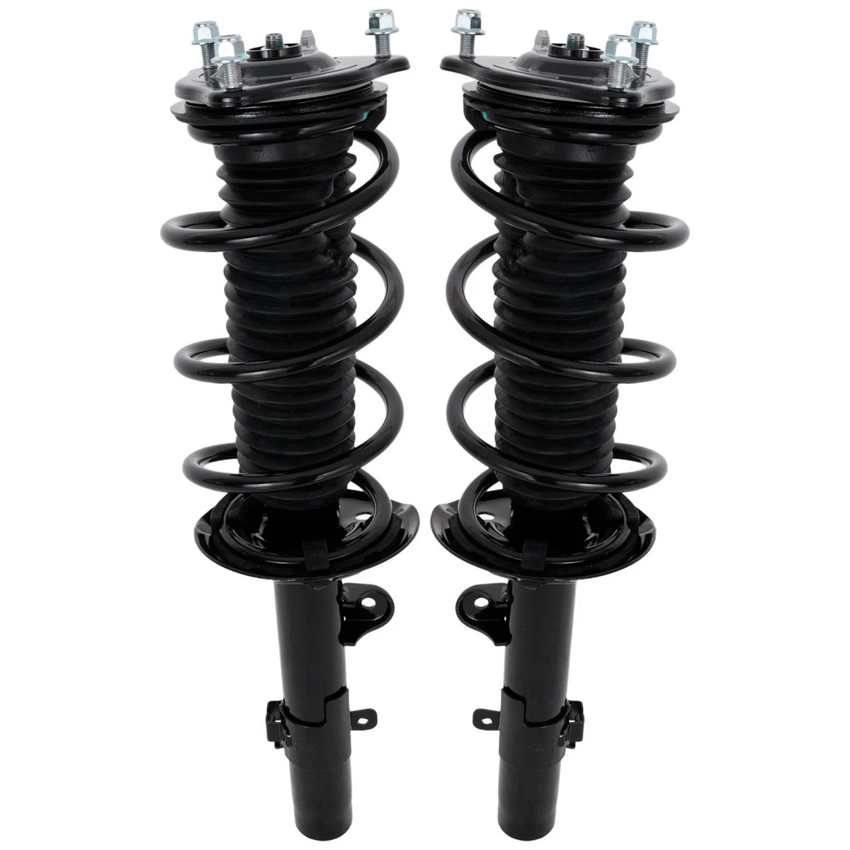 Strut Set of 2
