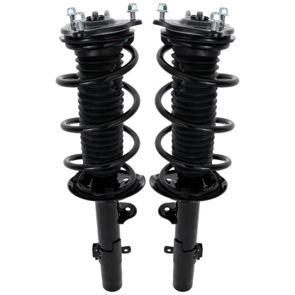 Strut Set of 2