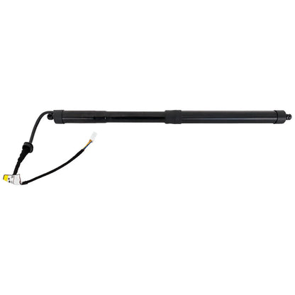 Liftgate Lift Supports for - Set of 2, Left & Right