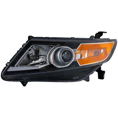Xenon Headlight for Honda Odyssey (2014–2017)