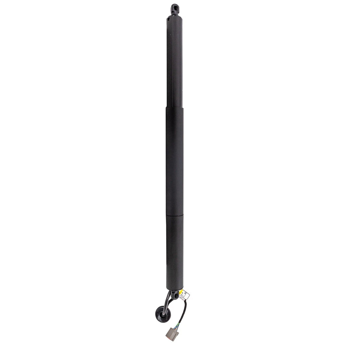 Liftgate Lift Support Driver Left Side for Ford Explorer (2015)