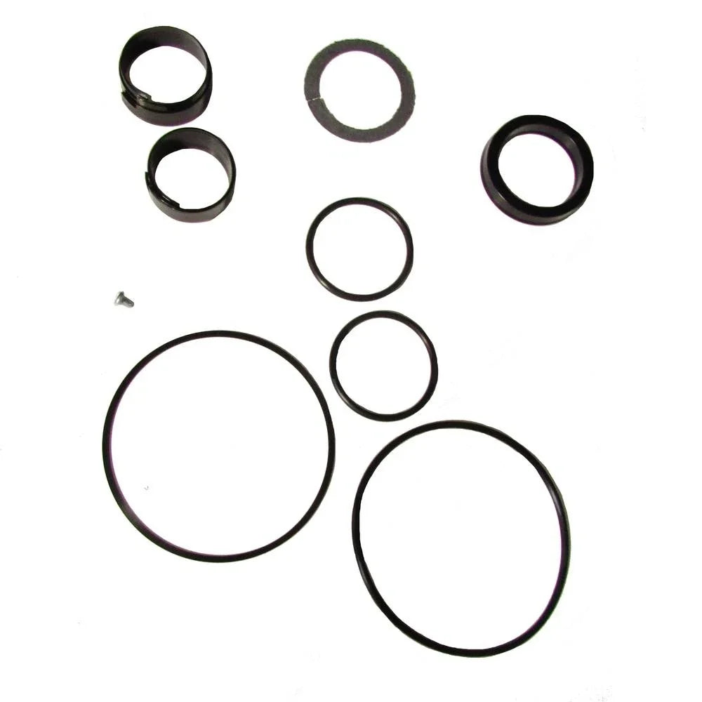 Hydraulic Cylinder Seal Kit for Case D42875 (Fits )