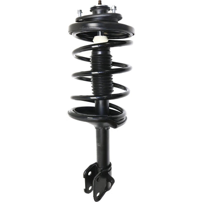 Strut Set of 2
