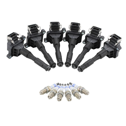 Set of 6 Ignition Coils & Platinum Spark Plugs for BMW E36 E39 E46 (1998–2006)