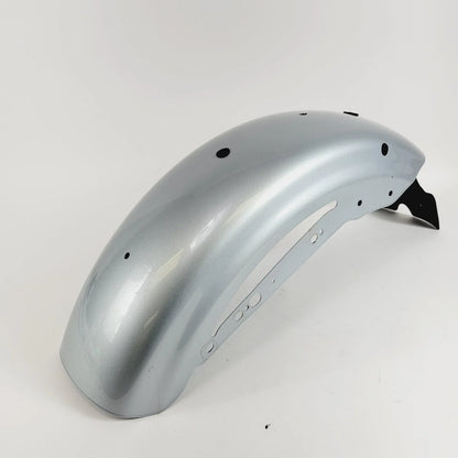 2020 Harley-Davidson Sportster XL1200NS Rear Fender - Barracuda Silver