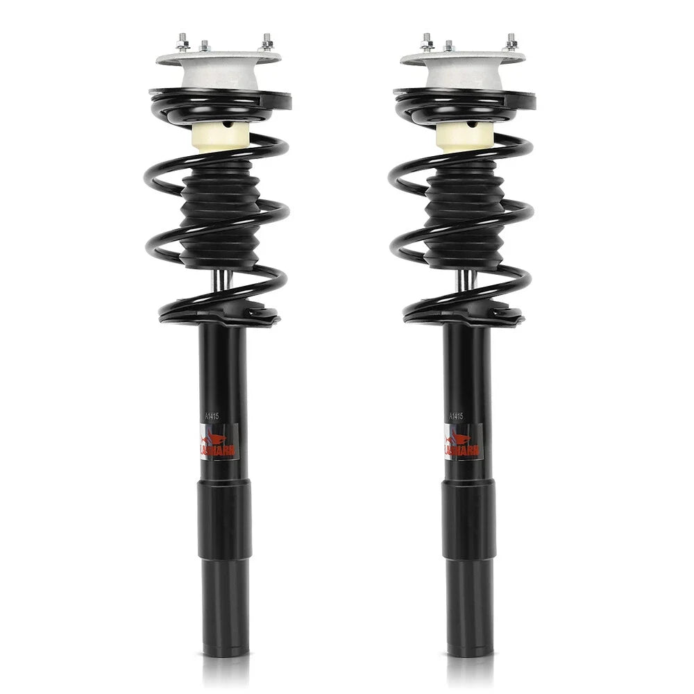 Front Pair of Complete Struts for BMW 530i 2004-2007, 535 2008-2010