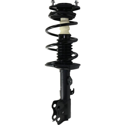 Set of 2 Loaded Struts