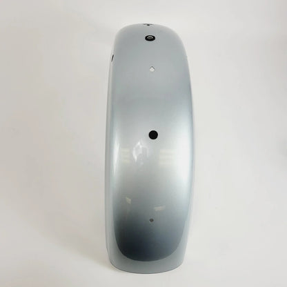 2020 Harley-Davidson Sportster XL1200NS Rear Fender - Barracuda Silver