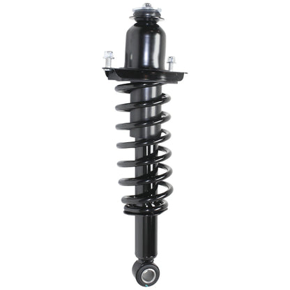Set of 2 Loaded Struts