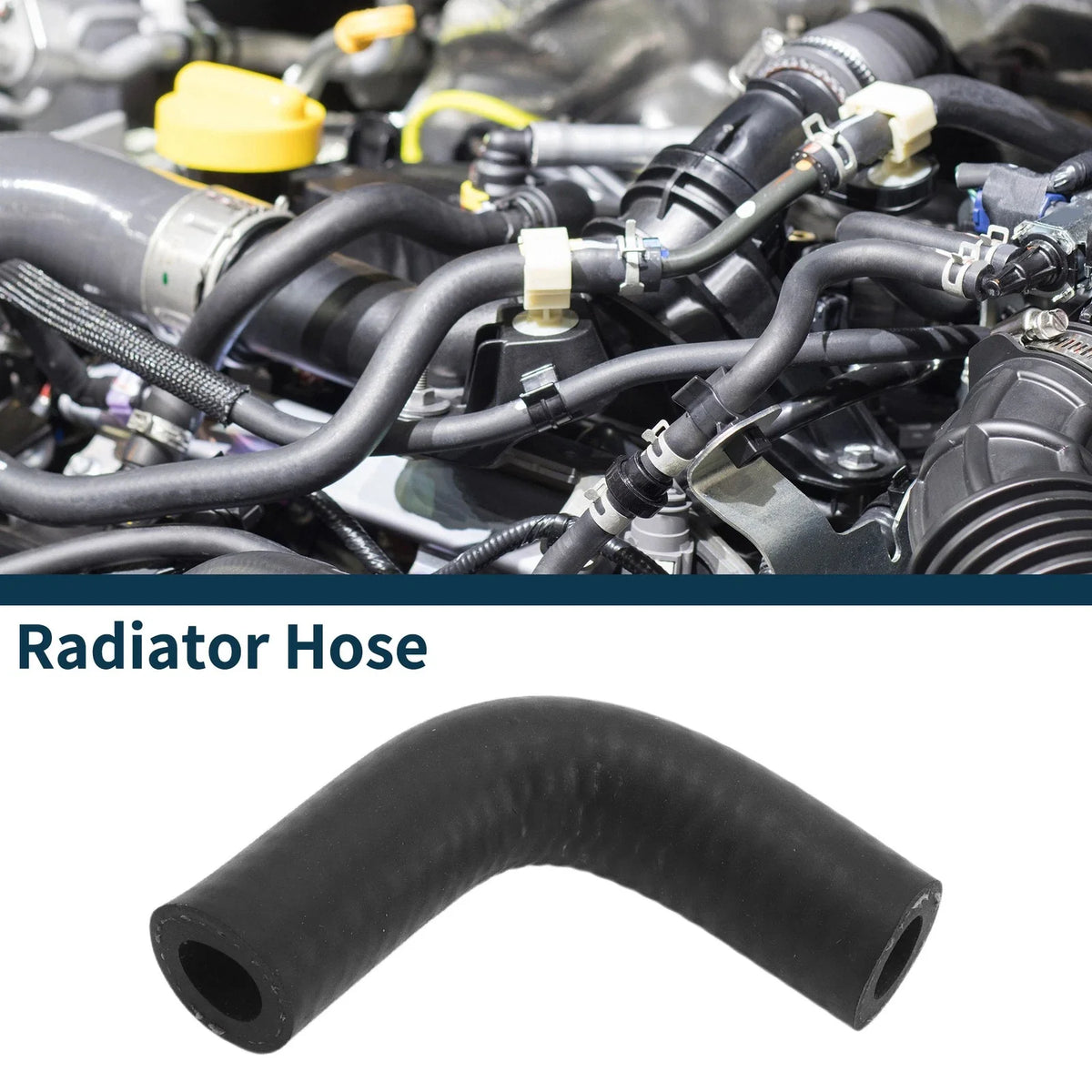 Radiator Hose for Buick Century (2003–2005) OE 24504912