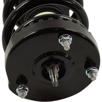 Pair Fully Loaded Strut Set