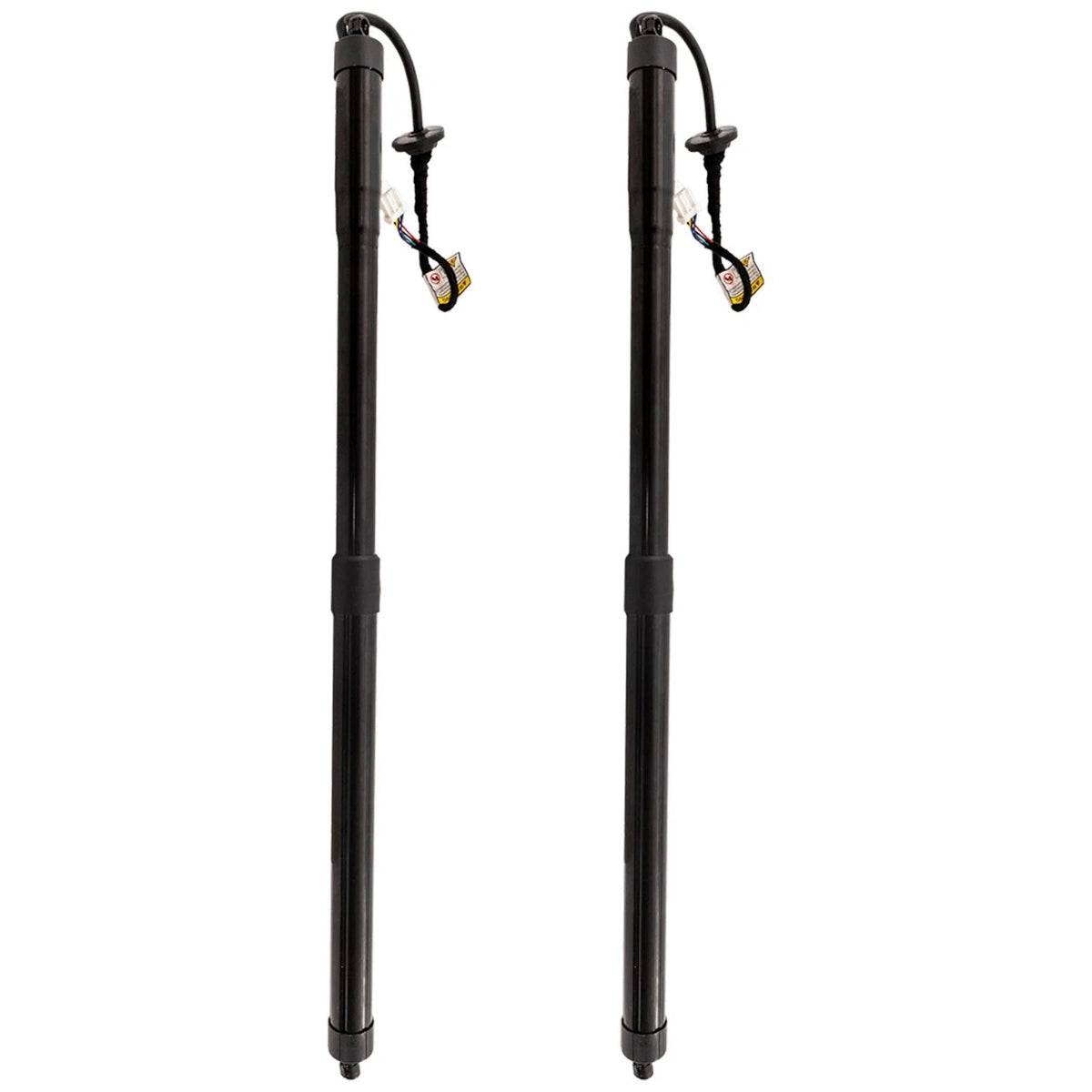 Liftgate Lift Supports Set of 2 for