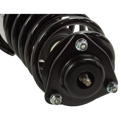 Strut Set of 2
