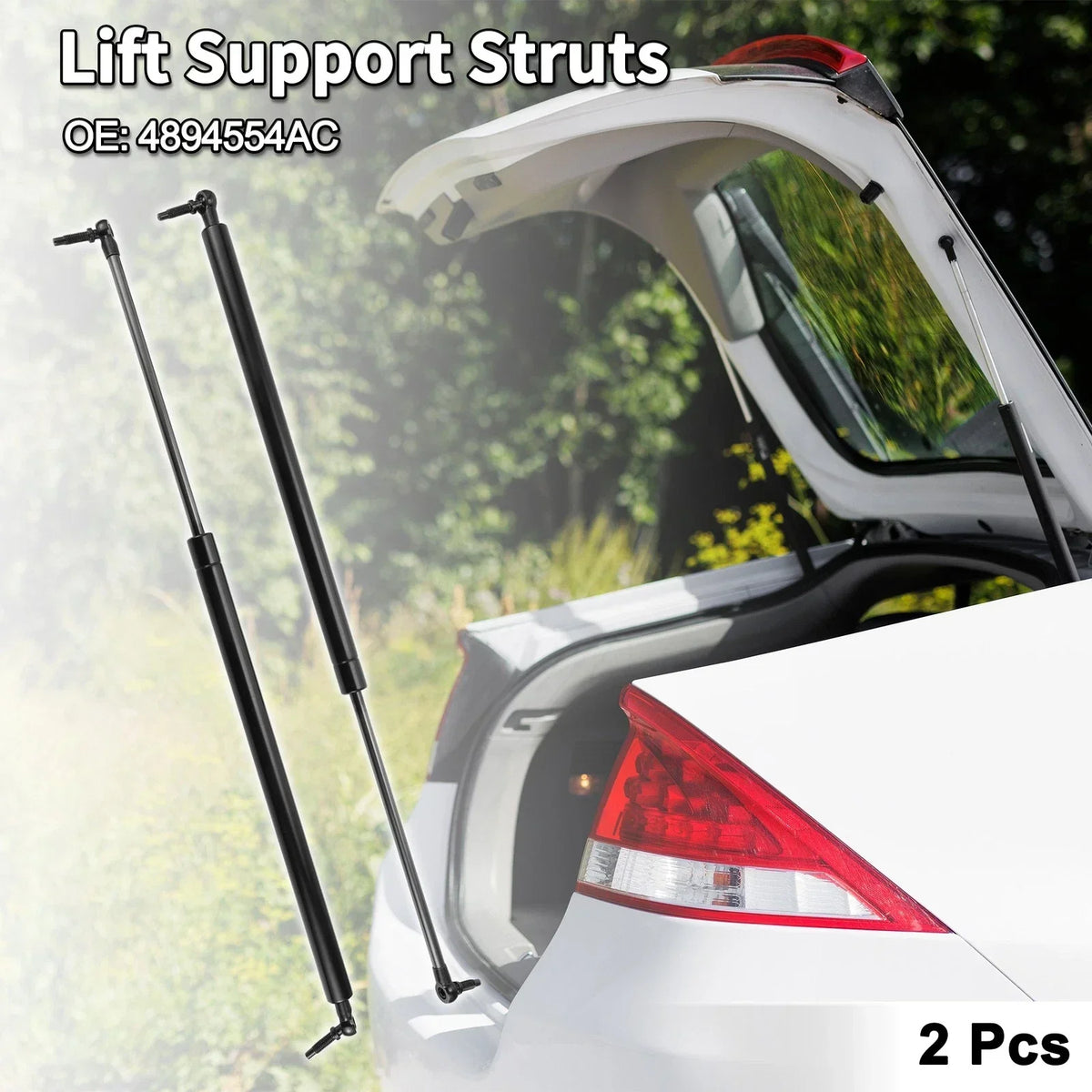 Lift Supports for Rear Hatch on Dodge Caravan (2011-2020)