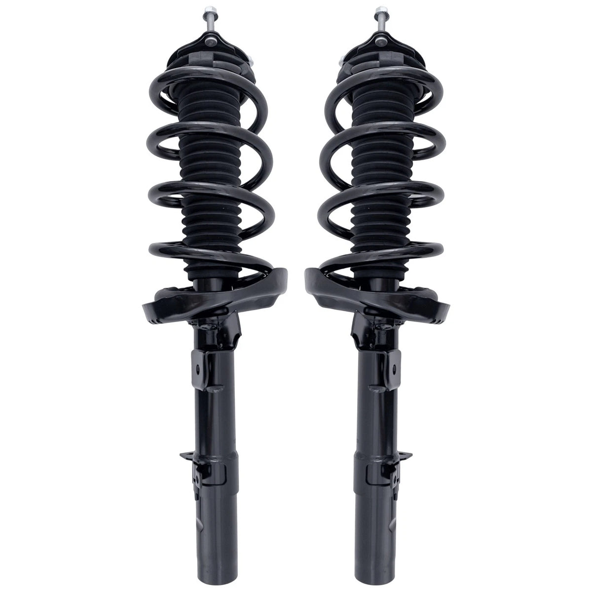 Strut Set of 2