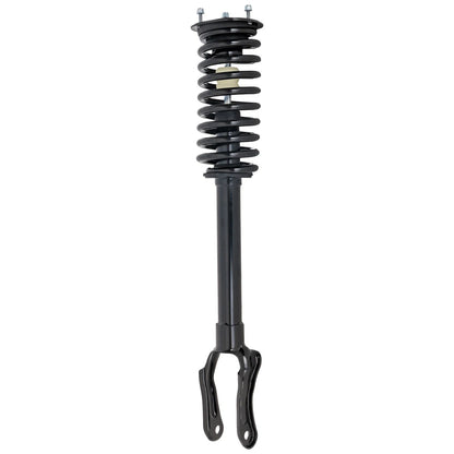 Strut Set of 2 for