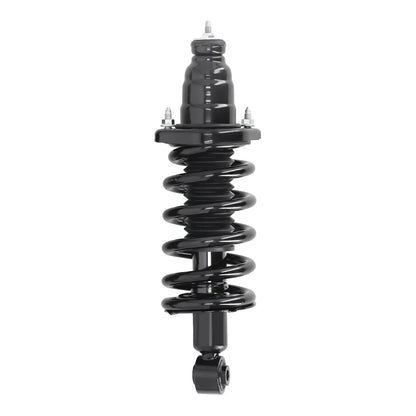 Rear Strut Set for 2003-2011 Honda Element