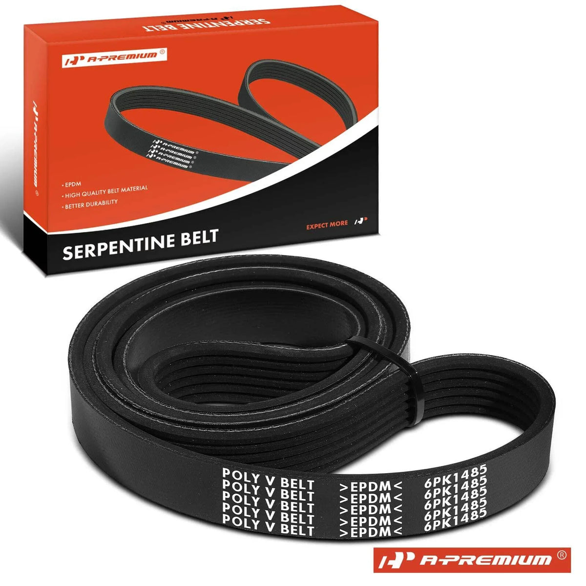 Serpentine Belt for Ford F-150 (2018–2021)