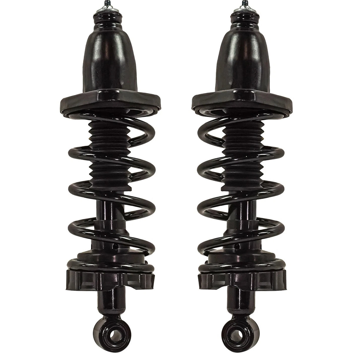 Strut Set of 2 for Rear Left Right Pair