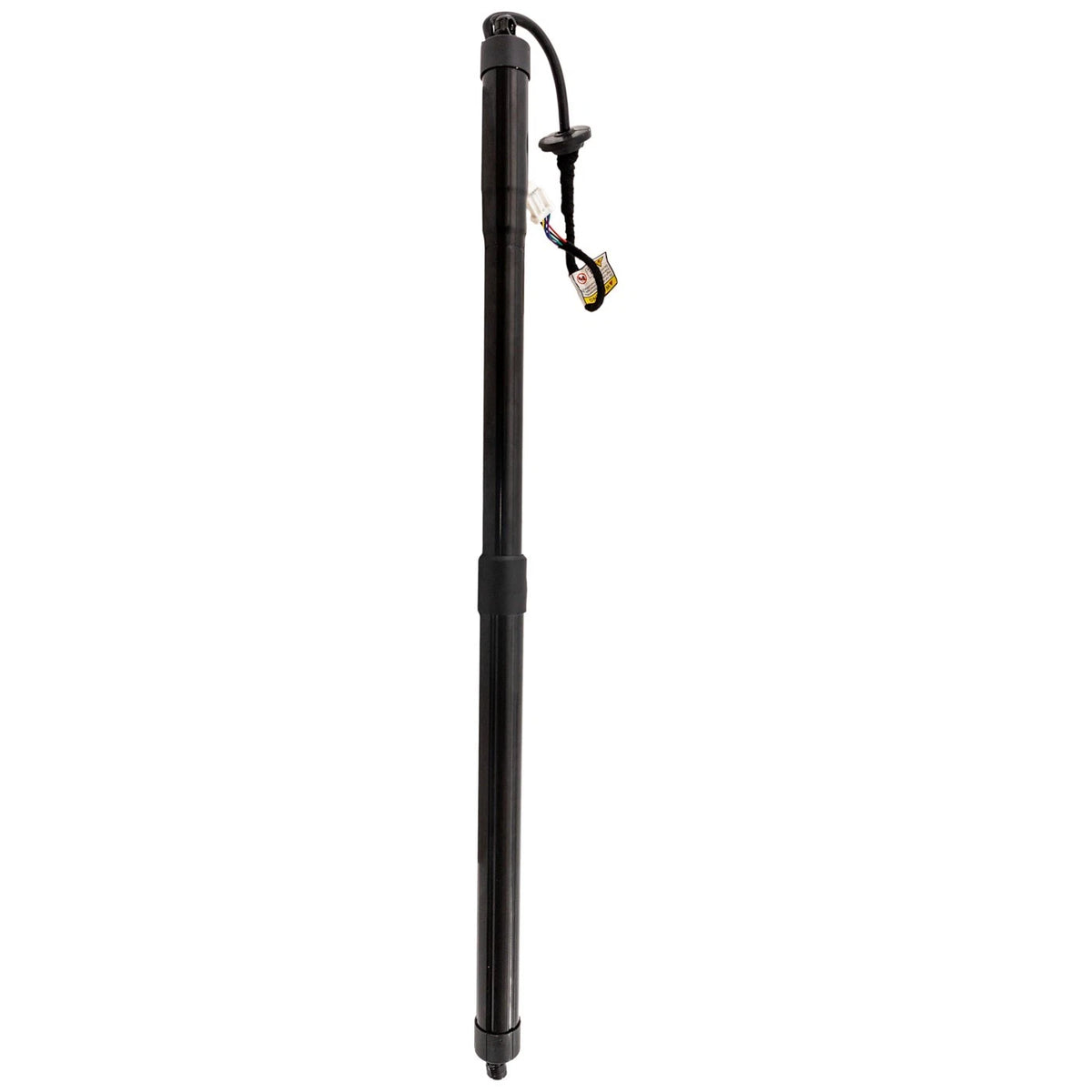 Liftgate Lift Supports Set of 2 for