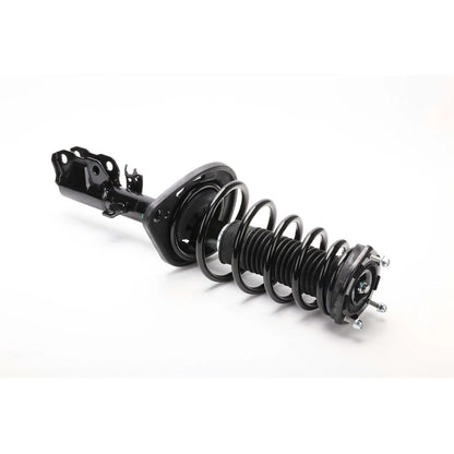 Strut Set of 2 for - Rear Left Right Pair