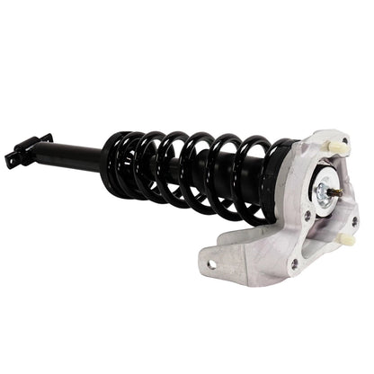 Strut Set of 2