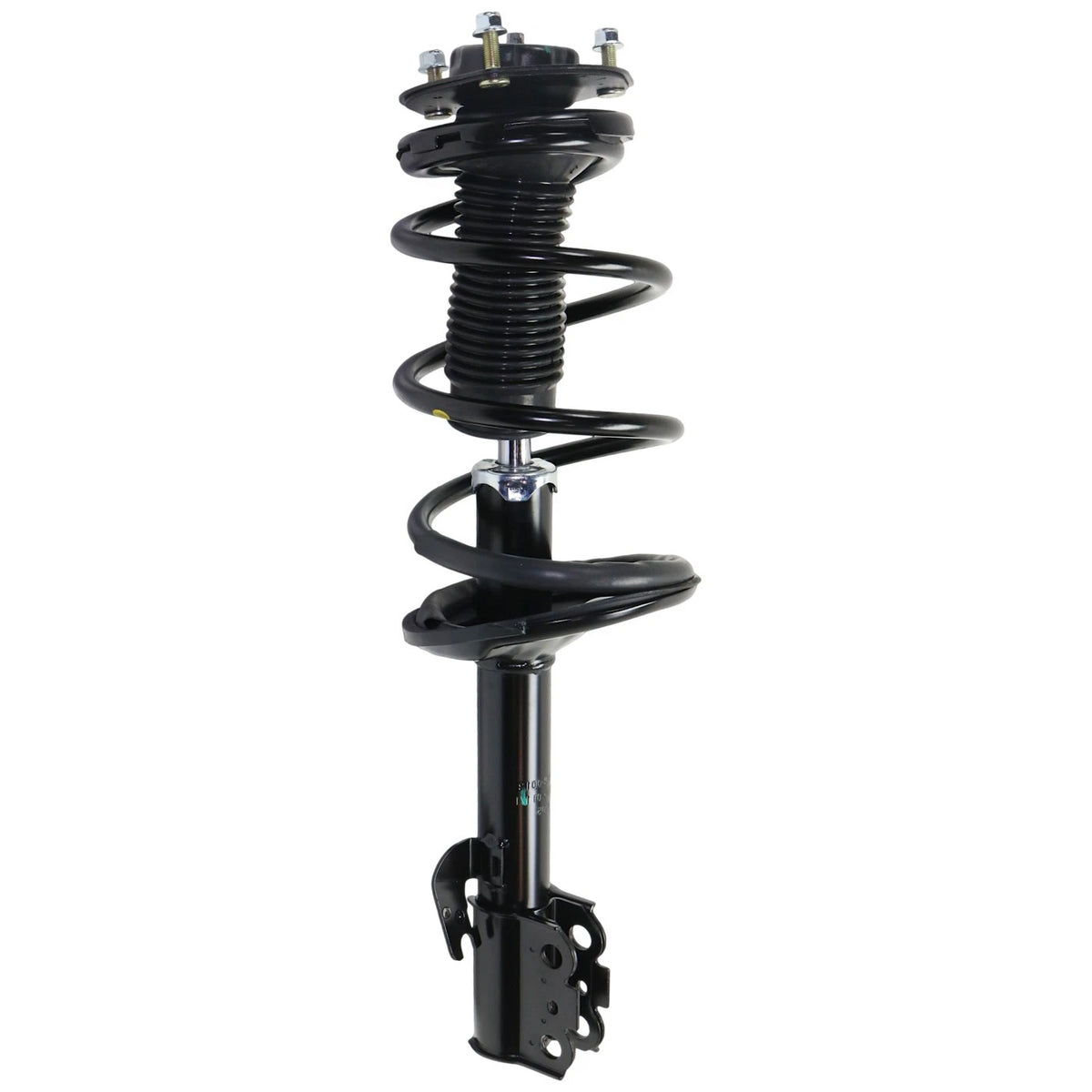 Set of 2 Loaded Struts