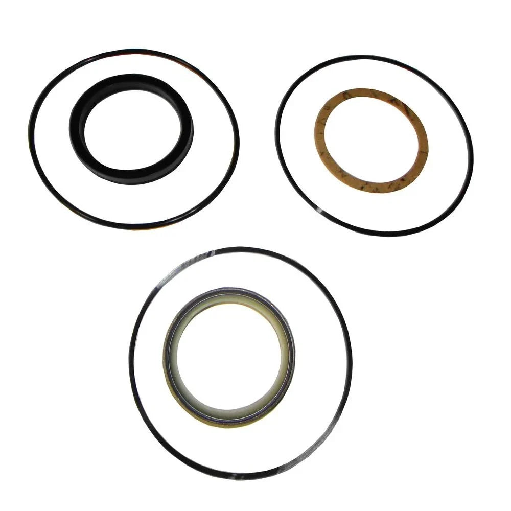 Hydraulic Cylinder Seal Kit for Case D42878 (Fits )
