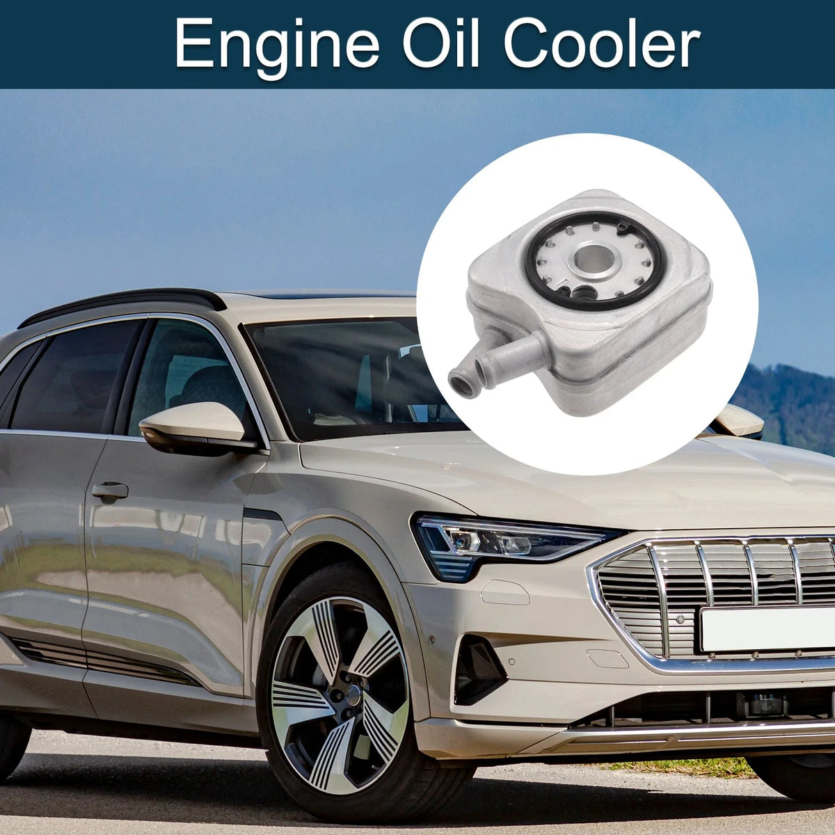 Engine Oil Cooler for Audi A4 Cabriolet (No. 078117021A)