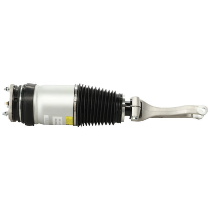 Air Strut for (102736100G)