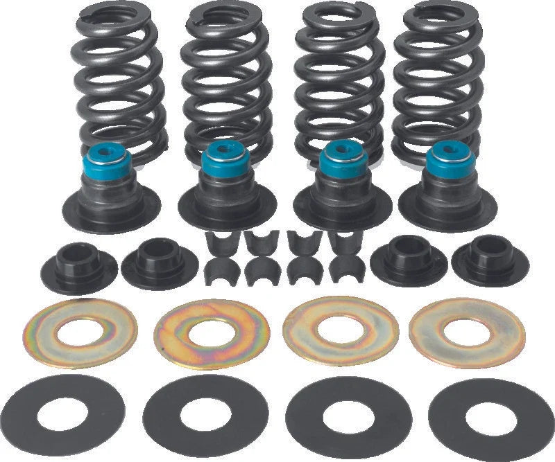 Valve Spring Kit for Harley-Davidson BT (2005–2017) - .585in