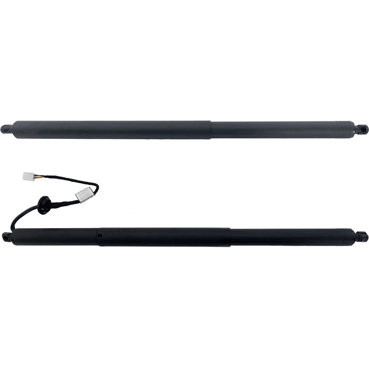 Liftgate Lift Supports Set of 2 for X Pair