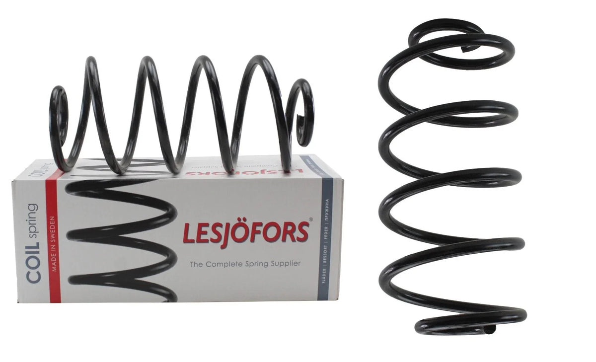 4412106 Rear Coil Spring for GMC Oldsmobile Pontiac Buick Chevrolet