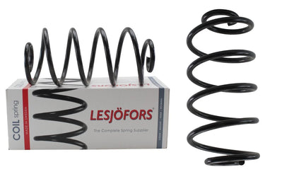 4412106 Rear Coil Spring for GMC Oldsmobile Pontiac Buick Chevrolet